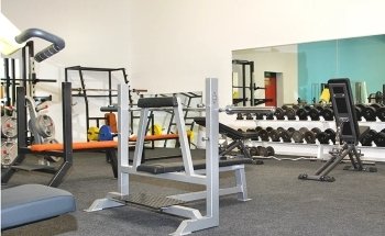 Shape Trier - Fitness & Lifestyle
