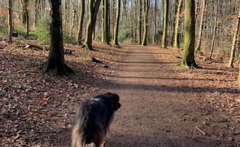 Original Bootcamp - Outdoor Fitness | Freudenberg Wuppertal