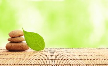 TRIPADA - Akademie für Gesundheit und Yoga