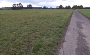Hundeplatz
