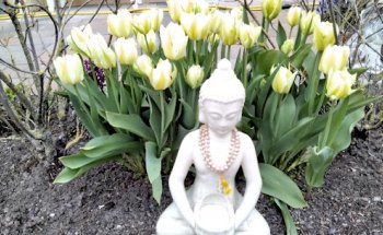 Yoga & More