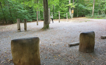 Wald Fitness