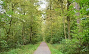 Relax place for walking and cycling