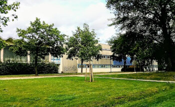 Frauenturnhalle, Sportforum
