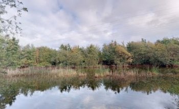 Biotopverbund Neumünster Obstwiese-Vierkamp
