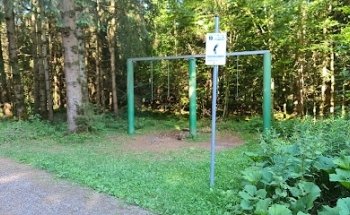 Trimm-Dich-Pfad: Station 10 Rumpfkreisen