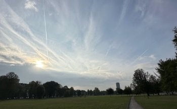 Work and Out Rheinpark