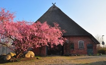 Yogascheune Schmilau