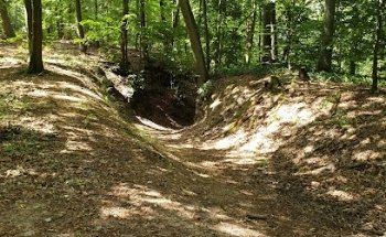 MTB Trail