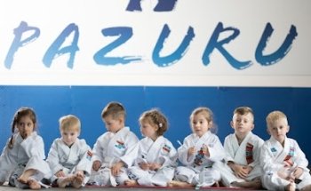 Pazuru martial art and health center