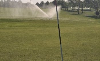 Golfplatz Gernsheim