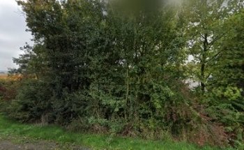 Truckers Gym - Outdoor Fitness