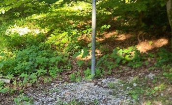 Trimm-Dich-Pfad: Station 4 Armkreisen