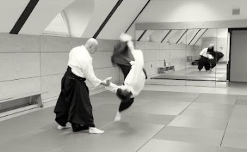 AIKIDO Verein KYUSHINDO in Hannover e.V.