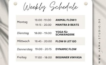 Yoga & Animal Flow® im Hammer Park | HAMA STUDIO