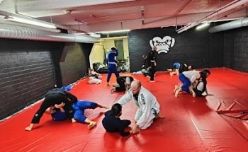Chimp Gym Brazilian Jiu Jitsu
