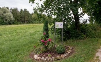 Trimmdich Pfad Dorfmerkingen