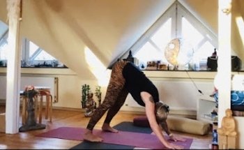 Yoga Shima Loft Energie & Entspannung