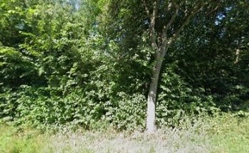 energieheilung und kundalini yoga