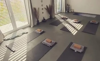 BodyTreeYoga