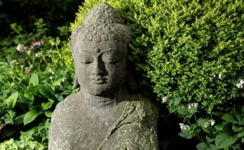 Yin und Yoga