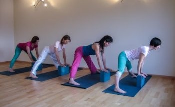 Stefanie Kretschmer | Yoga in Rheinbach | TRE (Trauma Releasing Exercises) und Neurogenes Zittern des Psoas
