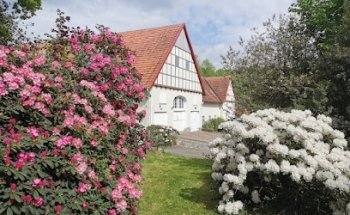 Raum für Yoga und Entspannung