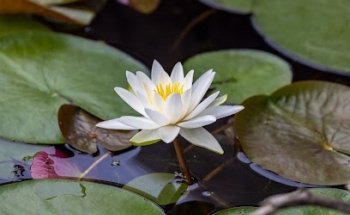 Lei-Se - Yoga in Günzburg bei Bettina Erhart
