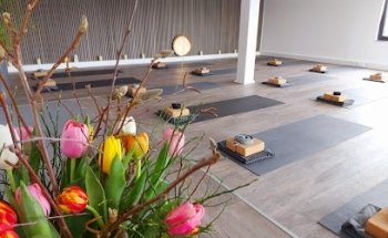Physio Yoga Loft by Melanie Schard - Zentrum für Yoga und Gesundheit