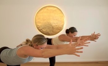Yoga-Ziegler