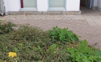 Yogaharmonie Eggersdorf