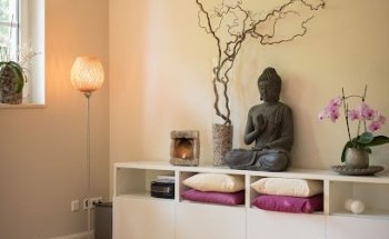 SpiritInsight - Diana Schepmann