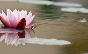 Yogaschule Ute Werner