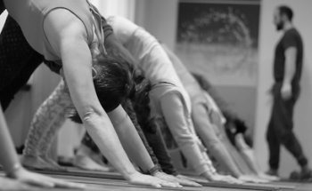 Yogaschule SOLIS
