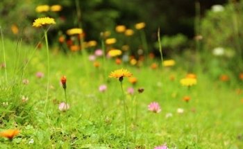 Yoga in den Bergen - Yogaunterricht in Simmern