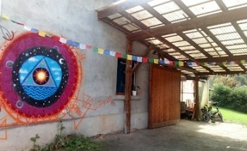 Kultur im Hinterhof