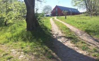 Fasten Yoga Ostsee Insel Usedom Ferien Wandern Faßsauna - pergo