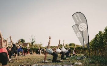 Yoga Weinstrasse