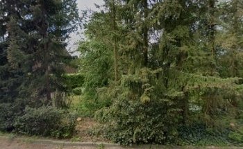 Kayakalpo Institut - Ageh und Unmesha Popat