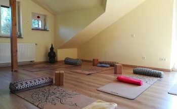 Qigong- Yin Yoga - Pilates - Rehasport- Frauen Qigong-Anna Philipzik-AD-Fitness