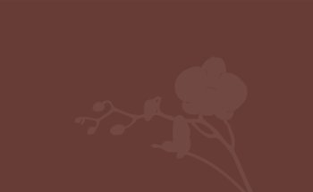 Dorothee Stratenwerth - Praxis für klassische Homöopathie und Ayurveda