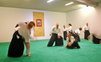 Crane Dojo Kreuzberg UG (limited)
