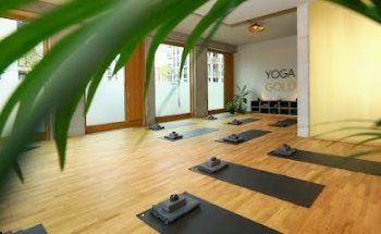 Yoga Gold