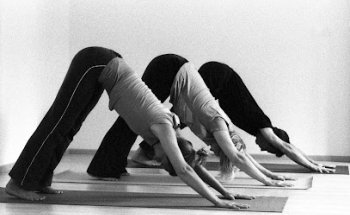 Iyengar Yoga Konstanz