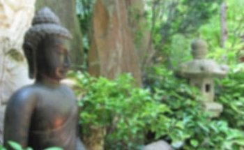 Taoversity