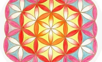 shakti yoga shala Franken