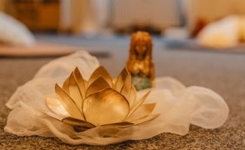 Hamsa Studio
