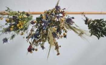 Komjun | Naturheilkunde, Frauengesundheit, Yoga | Dein Ort der Ganzheitlichkeit