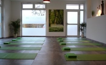 Dynamic Moves Yoga & Pilates