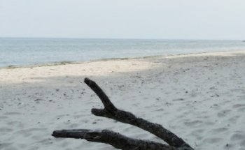 balanced inside • Shiatsu and Yoga in Hamburg